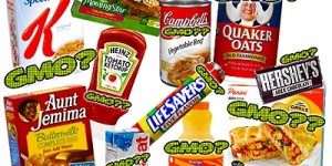 GMO ingredient list processed foods