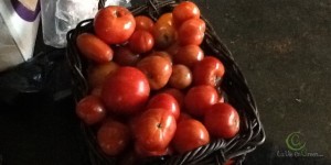 Feeding the 5,000 Disco Soup NYC raises awareness on food waste