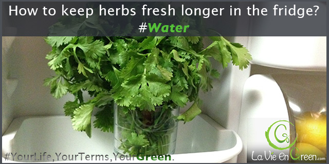 Tips to keep Fresh Herbs longer in your Fridge